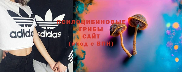 молекула духа Михайловка