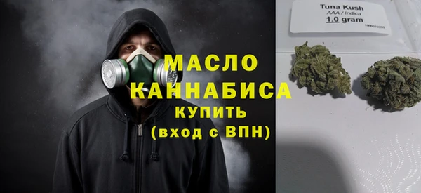 твердый Михайлов