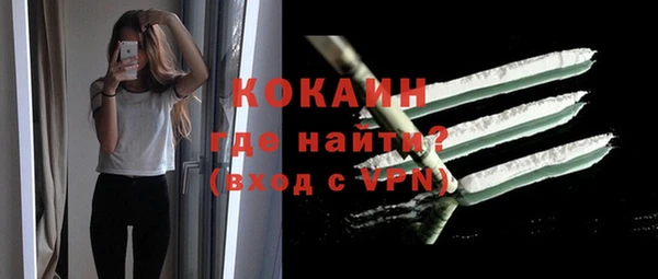 твердый Михайлов