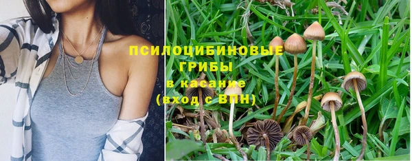 твердый Михайлов