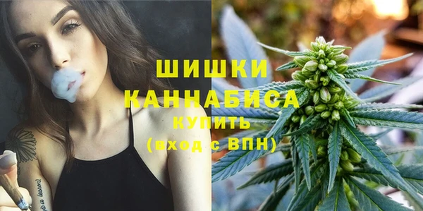 мдпв Мегион