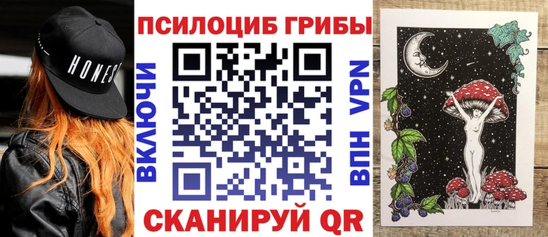kraken ТОР  закладка  Полтавская  Псилоцибиновые грибы Cubensis 